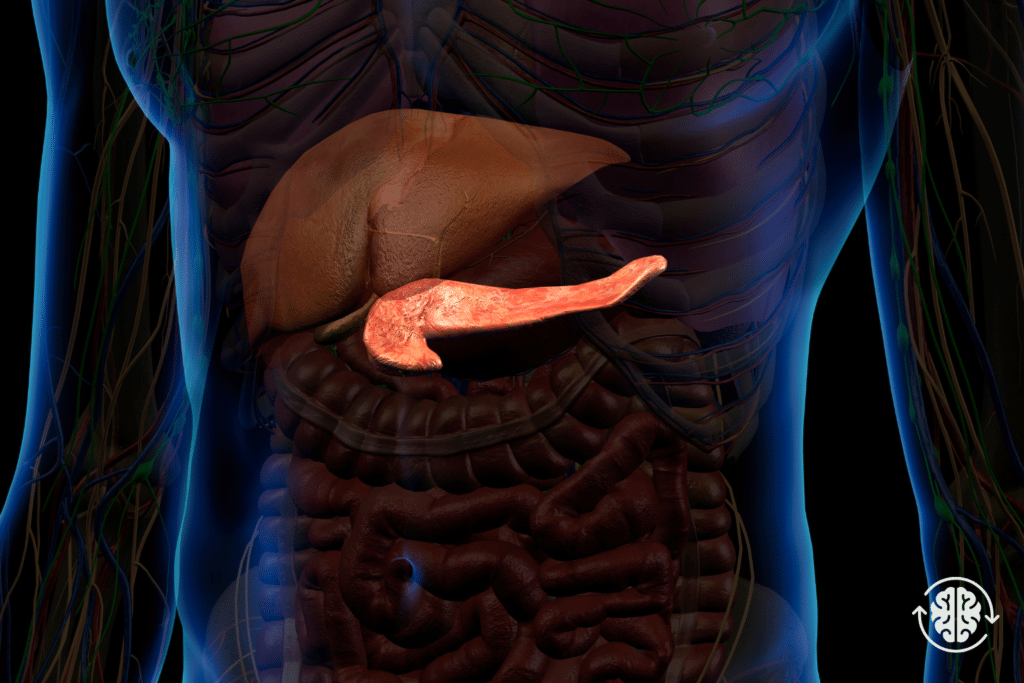 miksi haima tulehtuu